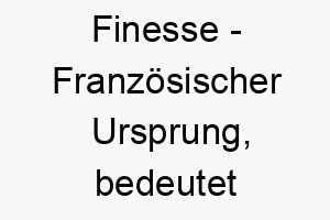 finesse franzoesischer ursprung bedeutet eleganz bedeutung als hundename fuer einen eleganten anmutigen hund 14119