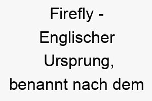 firefly englischer ursprung benannt nach dem leuchtkaefer bedeutung als hundename fuer einen leuchtenden lebhaften hund 14129