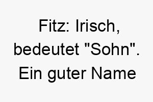 fitz irisch bedeutet sohn ein guter name fuer einen hund der wie ein sohn in der familie behandelt wird 19119