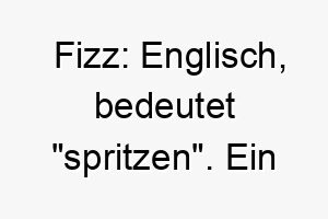 fizz englisch bedeutet spritzen ein passender name fuer einen sprudelnden und energischen hund 19391