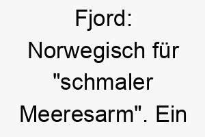 fjord norwegisch fuer schmaler meeresarm ein naturverbundener name fuer einen hund der das wasser liebt 19440