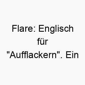 flare englisch fuer aufflackern ein energiegeladener und lebhafter name fuer einen aktiven hund 19426