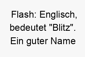 flash englisch bedeutet blitz ein guter name fuer einen sehr schnellen hund oder einen hund mit einem blitzschnellen verstand 19148