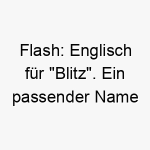 flash englisch fuer blitz ein passender name fuer einen sehr schnellen oder aktiven hund 19432