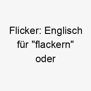 flicker englisch fuer flackern oder flimmern ein lebendiger name der auf einen energischen hund passen koennte 19400