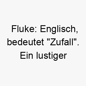 fluke englisch bedeutet zufall ein lustiger name fuer einen hund der unerwartet ins leben kam oder ueberraschende talente hat 19132