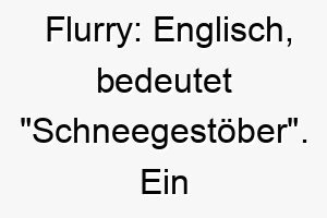 flurry englisch bedeutet schneegestoeber ein passender name fuer einen weissen hund oder einen hund der schnee liebt 19144