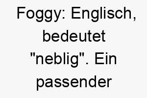 foggy englisch bedeutet neblig ein passender name fuer einen grau oder weisshaarigen hund 19141