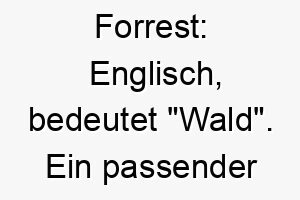 forrest englisch bedeutet wald ein passender name fuer einen hund der die natur und das freie liebt 19113