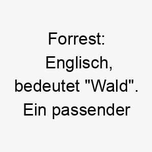 forrest englisch bedeutet wald ein passender name fuer einen hund der die natur und das freie liebt 19113