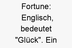 fortune englisch bedeutet glueck ein passender name fuer einen hund der glueck oder freude in ihr leben gebracht hat 19155