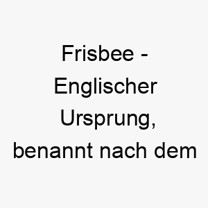 frisbee englischer ursprung benannt nach dem bekannten flugscheibenspiel bedeutung als hundename fuer einen spielerischen energiegeladenen hund 14124