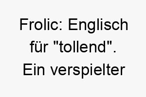 frolic englisch fuer tollend ein verspielter und froehlicher name perfekt fuer einen energiegeladenen und verspielten hund 19434