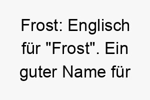 frost englisch fuer frost ein guter name fuer einen weissen hund oder einen der kaelte liebt 19427