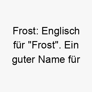 frost englisch fuer frost ein guter name fuer einen weissen hund oder einen der kaelte liebt 19427