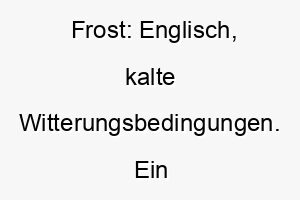 frost englisch kalte witterungsbedingungen ein guter name fuer einen hund mit einem weissen oder silbernen fell 19104