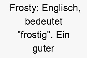 frosty englisch bedeutet frostig ein guter name fuer einen weissen hund oder einen hund der schnee und kaelte liebt 19170