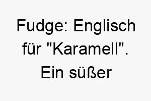 fudge englisch fuer karamell ein suesser name perfekt fuer einen braunen oder sanftmuetigen hund 19401