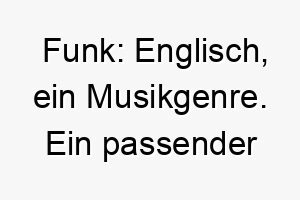 funk englisch ein musikgenre ein passender name fuer einen hund mit einem lebhaften und energetischen charakter 19125