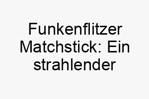 funkenflitzer matchstick ein strahlender wirbelwind fuers herz 22851