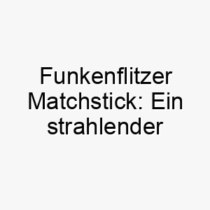 funkenflitzer matchstick ein strahlender wirbelwind fuers herz 22851