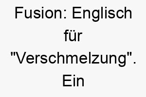 fusion englisch fuer verschmelzung ein moderner interessanter name fuer einen mischlingshund oder einen hund mit einem einzigartigen mix an qualitaeten 19443