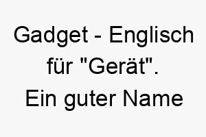 gadget englisch fuer geraet ein guter name fuer einen cleveren hund der gerne mit spielzeug oder anderen gegenstaenden spielt 19625