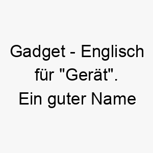 gadget englisch fuer geraet ein guter name fuer einen cleveren hund der gerne mit spielzeug oder anderen gegenstaenden spielt 19625