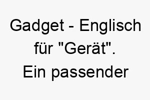 gadget englisch fuer geraet ein passender name fuer einen hund der technikbegeistert ist oder gerne spielt 19837