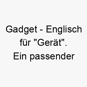 gadget englisch fuer geraet ein passender name fuer einen hund der technikbegeistert ist oder gerne spielt 19837