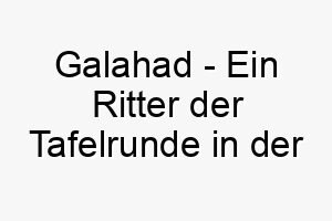 galahad ein ritter der tafelrunde in der arthur sage ein edler name fuer einen mutigen und loyalen hund 19825