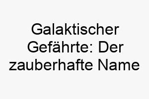 galaktischer gefaehrte der zauberhafte name nebula fuer einen farbenfrohen und faszinierenden vierbeiner 23197