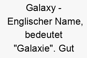 galaxy englischer name bedeutet galaxie gut fuer einen hund mit einem funkelnden fell oder einer vielzahl von farben 19605