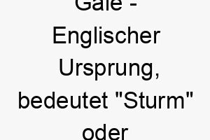 gale englischer ursprung bedeutet sturm oder wind bedeutung als hundename passend fuer einen energischen lebhaften hund 14331