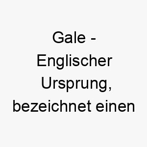 gale englischer ursprung bezeichnet einen starken wind bedeutung als hundename ideal fuer einen energischen lebhaften hund 14376