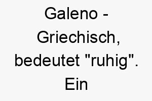 galeno griechisch bedeutet ruhig ein passender name fuer einen friedlichen und ruhigen hund 19656