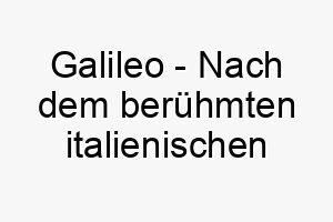 galileo nach dem beruehmten italienischen astronomen ein guter name fuer einen klugen hund 19616