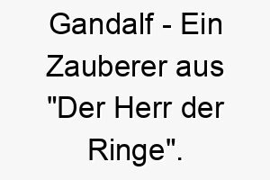 gandalf ein zauberer aus der herr der ringe ein magischer name fuer einen weisen oder abenteuerlustigen hund 19840