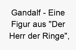 gandalf eine figur aus der herr der ringe bedeutet wanderer ideal fuer einen hund der gerne abenteuer erlebt 2 19820