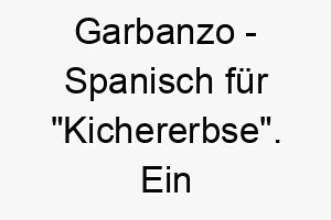 garbanzo spanisch fuer kichererbse ein suesser name fuer einen kleinen rundlichen hund 19699