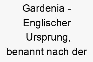 gardenia englischer ursprung benannt nach der blume bedeutung als hundename fuer einen schoenen zarten hund 14382