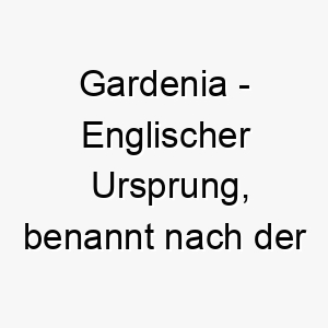 gardenia englischer ursprung benannt nach der blume bedeutung als hundename fuer einen schoenen zarten hund 14382