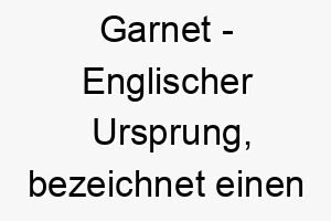 garnet englischer ursprung bezeichnet einen edelstein bedeutung als hundename ideal fuer einen wertvollen geliebten hund 14333