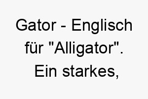 gator englisch fuer alligator ein starkes einpraegsames name fuer einen mutigen hund 2 19812