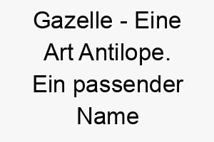 gazelle eine art antilope ein passender name fuer einen schnellen und agilen hund 19661