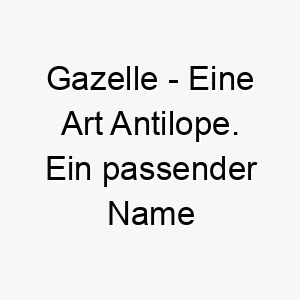 gazelle eine art antilope ein passender name fuer einen schnellen und agilen hund 19661