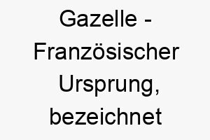 gazelle franzoesischer ursprung bezeichnet eine art antilope bedeutung als hundename fuer einen schnellen anmutigen hund 14383