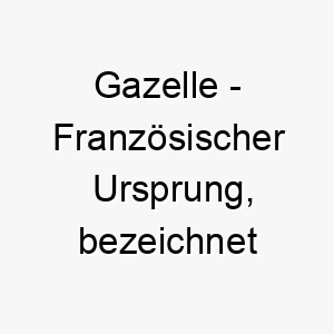 gazelle franzoesischer ursprung bezeichnet eine art antilope bedeutung als hundename fuer einen schnellen anmutigen hund 14383