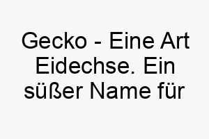 gecko eine art eidechse ein suesser name fuer einen kleinen oder agilen hund 19829