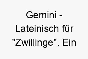 gemini lateinisch fuer zwillinge ein passender name fuer einen hund der vielleicht ein geschwisterchen hat oder einen doppelten charakter zeigt 19626